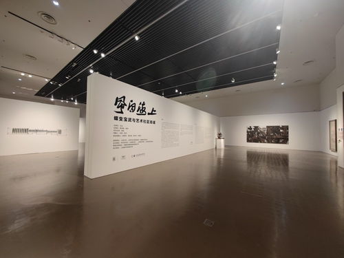 聯(lián)動共創(chuàng) 以藝術(shù)展覽為紐帶，構(gòu)建新時代社會美育新生態(tài)