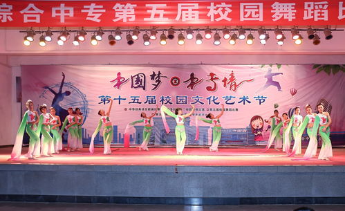 舞動精彩，炫出自我——記第十五屆校園文化藝術(shù)節(jié)舞蹈比賽決賽